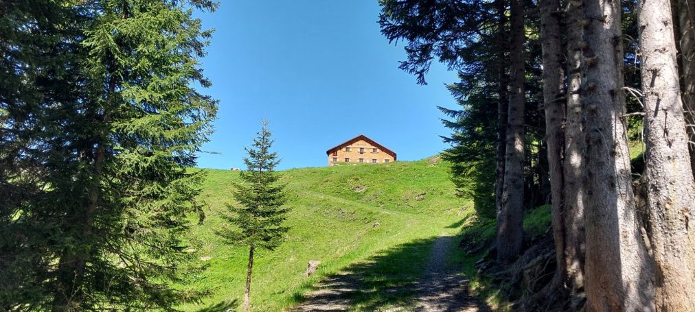 31.05.2025